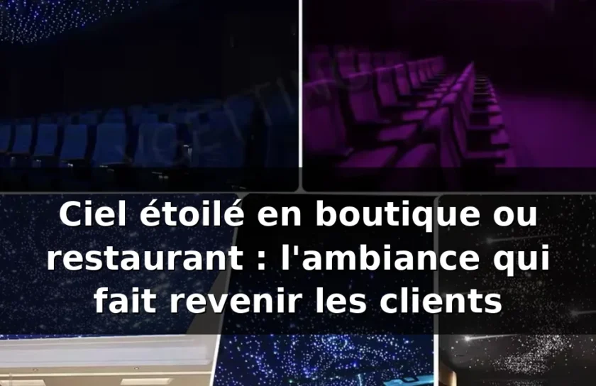 Plafond ciel étoilé 16 Plafond étoilé restaurant : l'ambiance qui fidélise — illustration