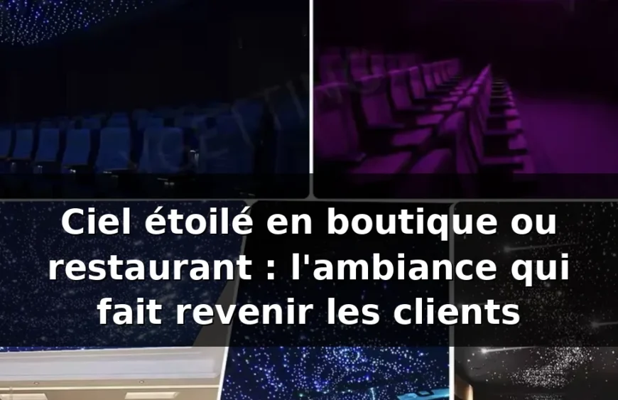 Plafond étoilé restaurant : l'ambiance qui fidélise — illustration