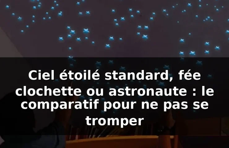 Quel ciel étoilé choisir ? Le comparatif honnête — illustration