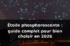 Étoiles phosphorescentes : guide complet 2026 — illustration