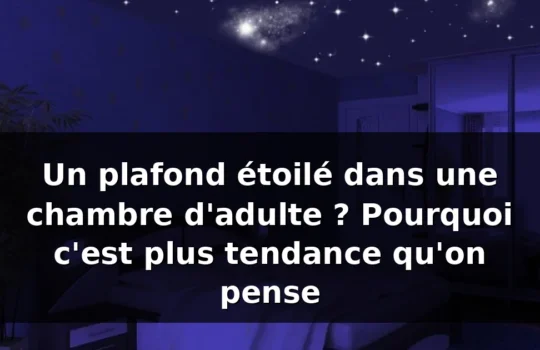 Plafond étoilé chambre adulte — illustration