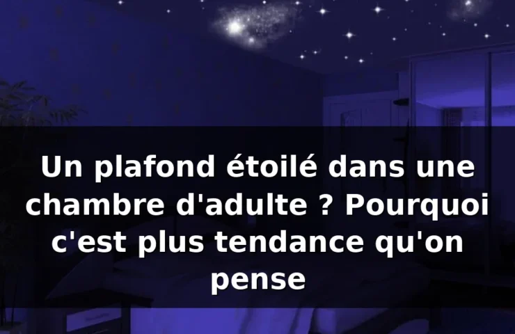 Plafond étoilé chambre adulte — illustration